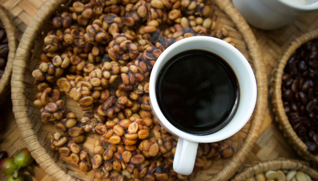 Kopi Luwak